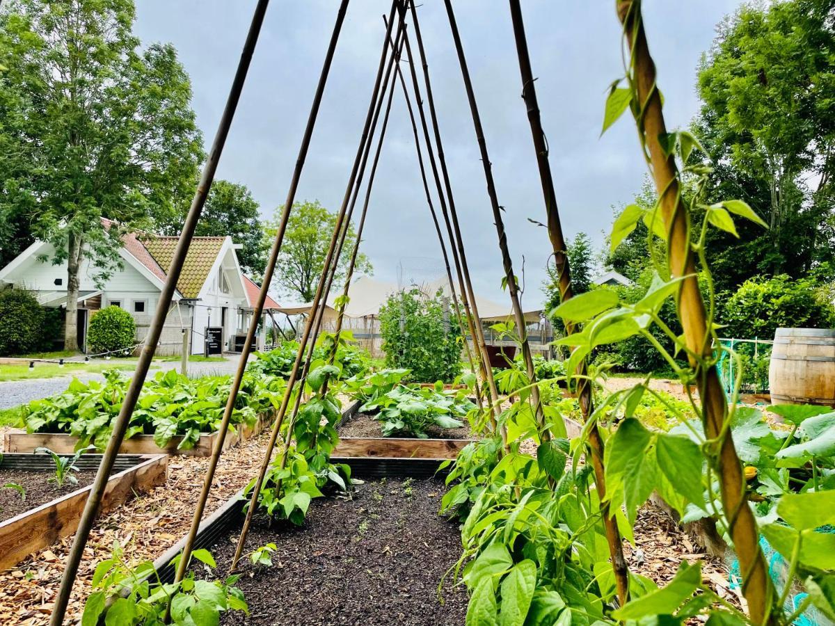 Pod Huisje Met Hottub Dokkum Zewnętrze zdjęcie